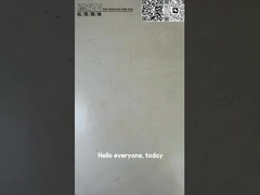 TZ910B1009-00 PC60-6 Bagger Fahrantrieb RV Welle